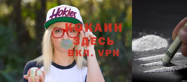 ПСИЛОЦИБИНОВЫЕ ГРИБЫ Богородицк