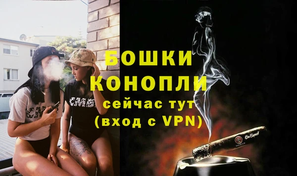 ПСИЛОЦИБИНОВЫЕ ГРИБЫ Богородицк